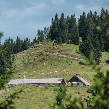 Mountain huts