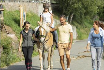 Maneggi e passeggiate in carrozza