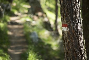 Sentieri escursionistici a Nalles vicino Merano