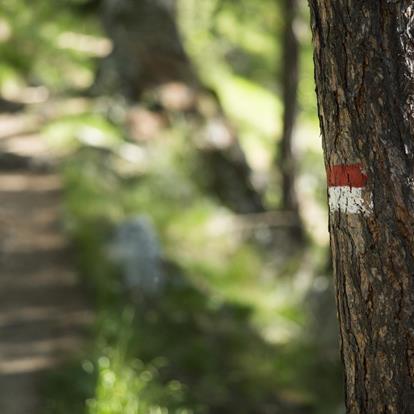 Hiking Trails in Nalles near Merano