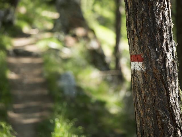 Hiking Trails in Nalles near Merano