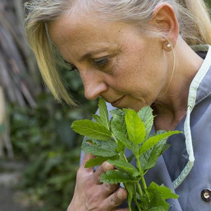 Rezepte aus Partschins