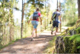 Gite ed esperienze nella natura per bambini