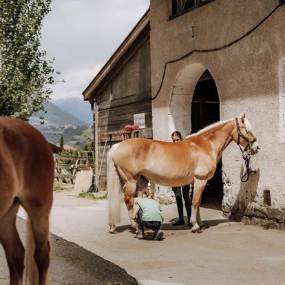Reiten in Lana und Umgebung
