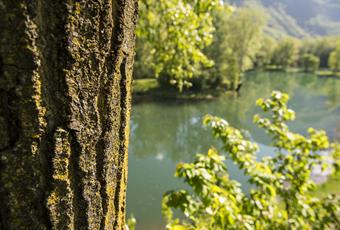 Recreatie & natuur