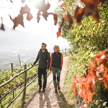 Autumn walk along the Waalweg of Marling