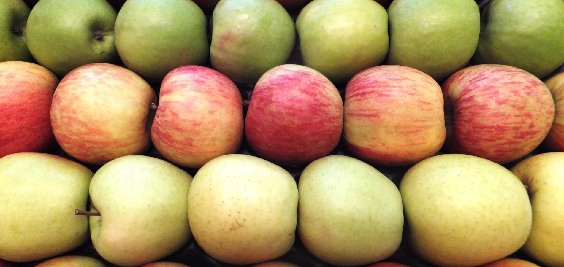 Knackige Fakten zum Südtiroler Apfel