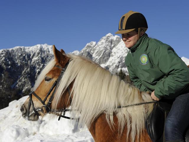 Reiten-HaflingerPferde-im-Winter-Hafling-Voeran-Meran2000-lm