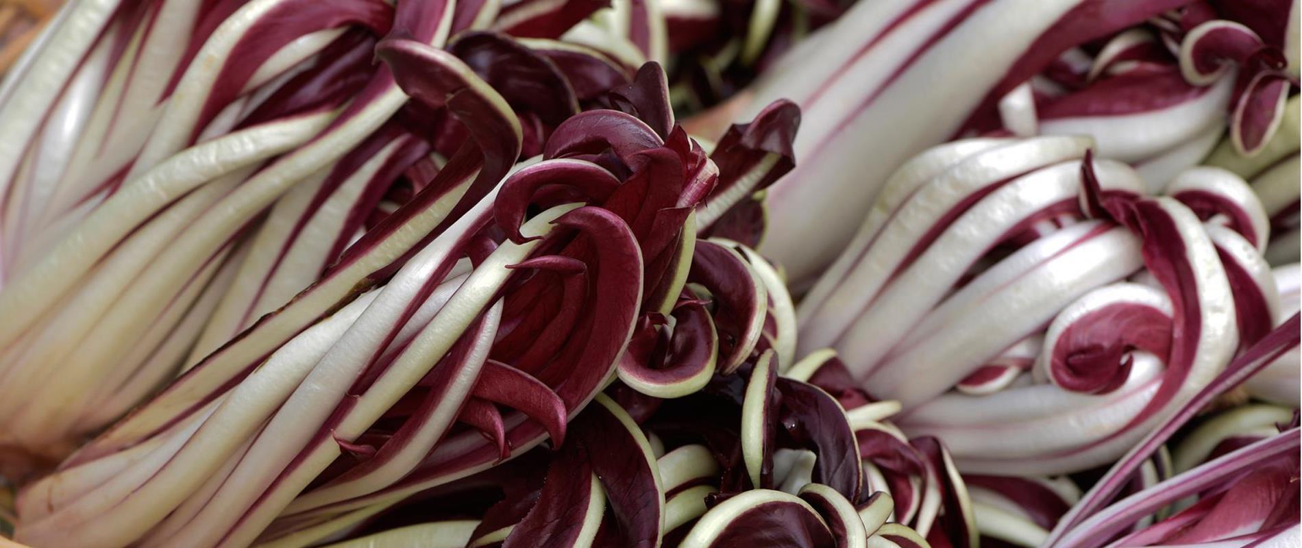 Radicchio Days
