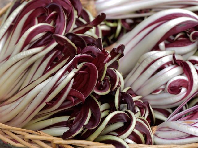 Giornate del radicchio in Alta Val di Non