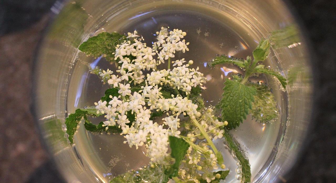Partschinser Houlersirup (Holundersirup)