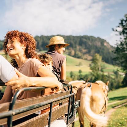 Gite in carrozza nell’Alto Adige: la magia ad Avelengo, Verano e Merano 2000