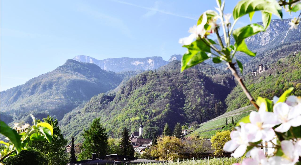Apfelblüte-Nals-km