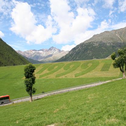 Experience and Advantage Cards in South Tyrol