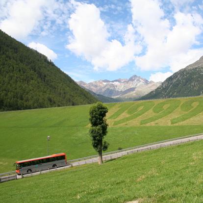 Reach South Tyrol by bus