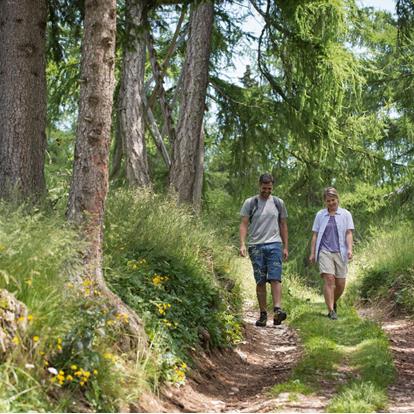 Wandern am Deutschnonsberg