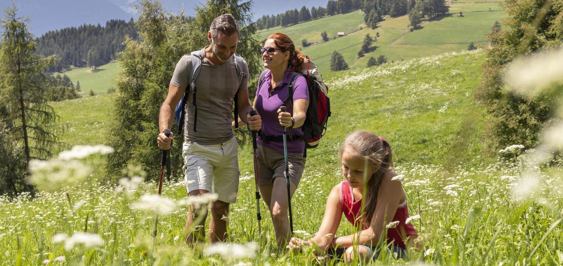 Hiking-family-hikings-Avelengo-Verano-Merano2000-ml