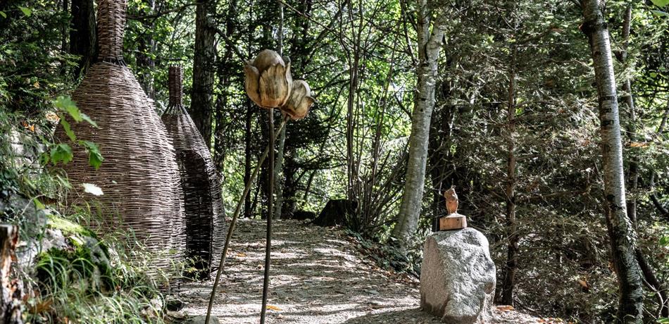 Sentiero tematico: il sentiero del bosco