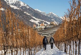 Skiën & andere wintersporten