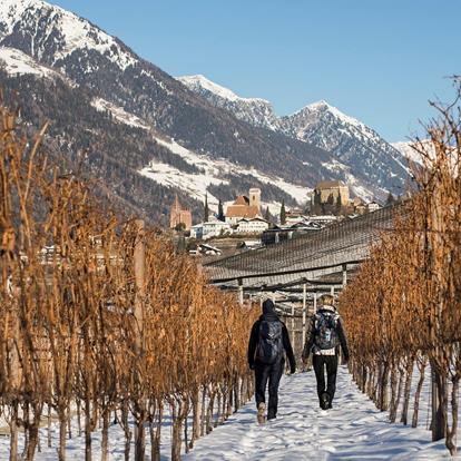 Winter in Schenna