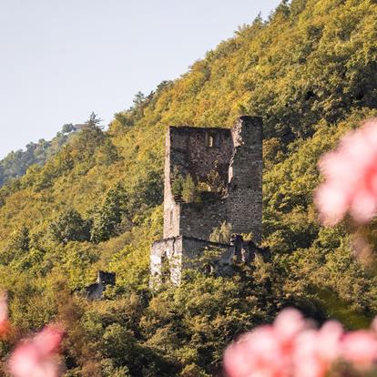 Ruine Brandis mit Blumen