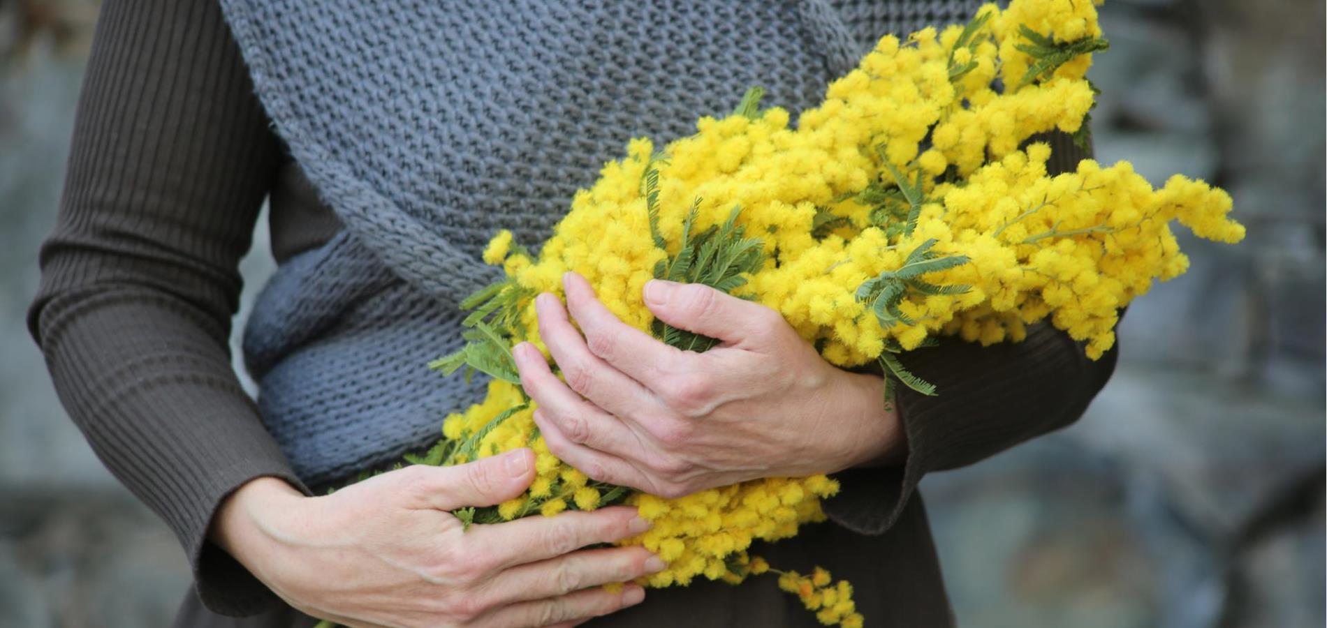 Mimosen für uns Frauen - Frauenpower in GELB