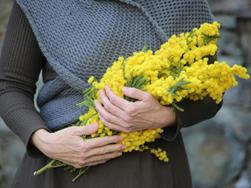 Mimosen für uns Frauen - Frauenpower in GELB