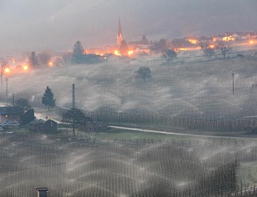 Frostschutz Feuer_Peter Santer[6]