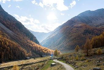 Il parco naturale gruppo di tessa