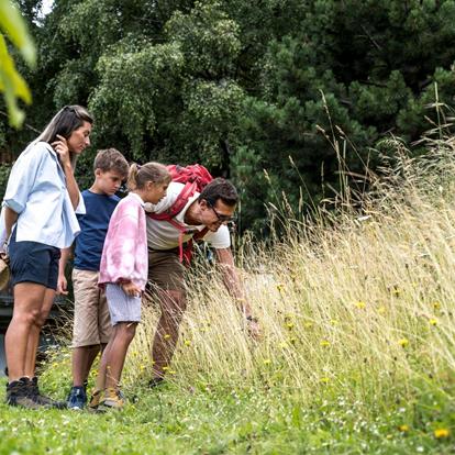 Geocaching nei dintorni di Scena