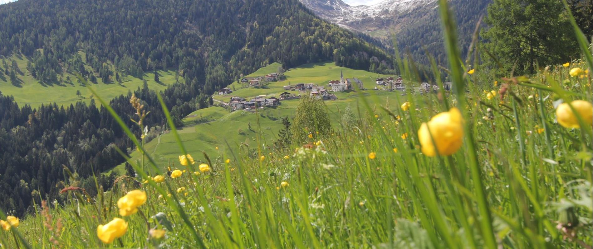 Deutschnonsberg