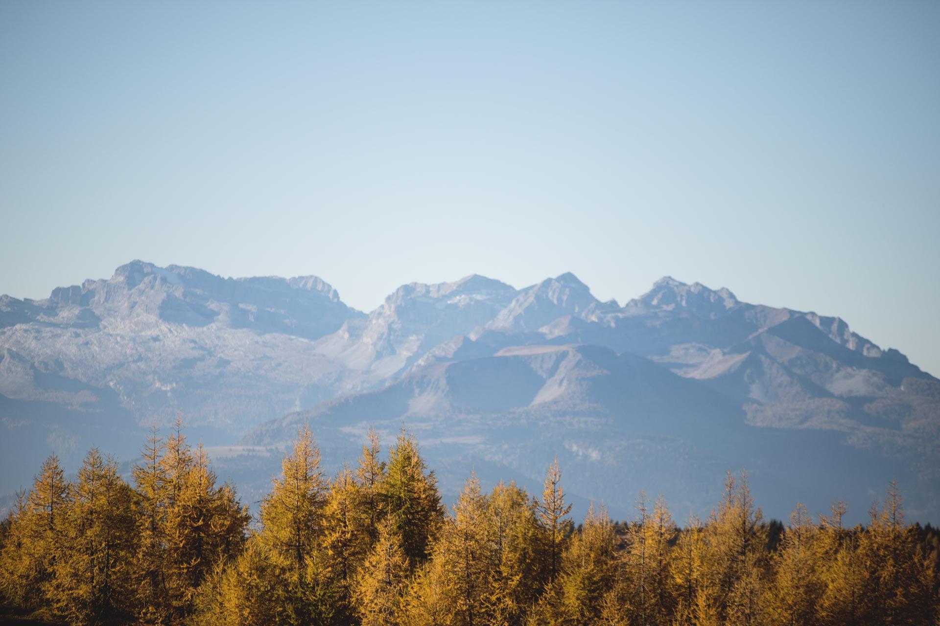 maike-descher-wald-berge