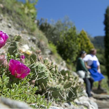 The climate at Parcines, Rablà and Tel