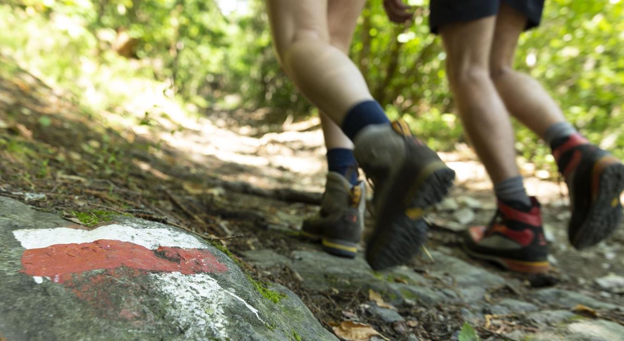 Aktiv - Wandern - Marling - Markierung Weg - DP