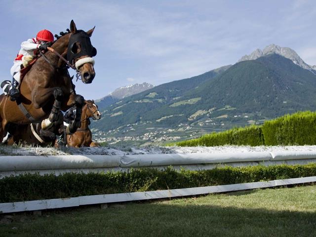 Pferderennplatz-Meran-GP-Foto_Press_Arigossi