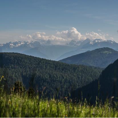 Arrivare in autobus - Alta Val di Non