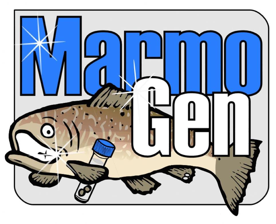 marmogen-logo-pdf-01-2