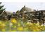 Horse-Riding-Haflinger-horsesAvelengo-Verano-Merano2000-fb