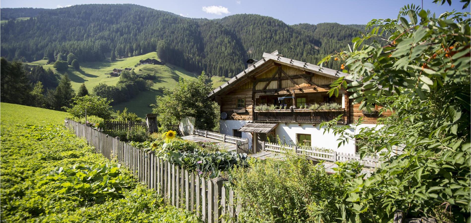 ULTENTAL