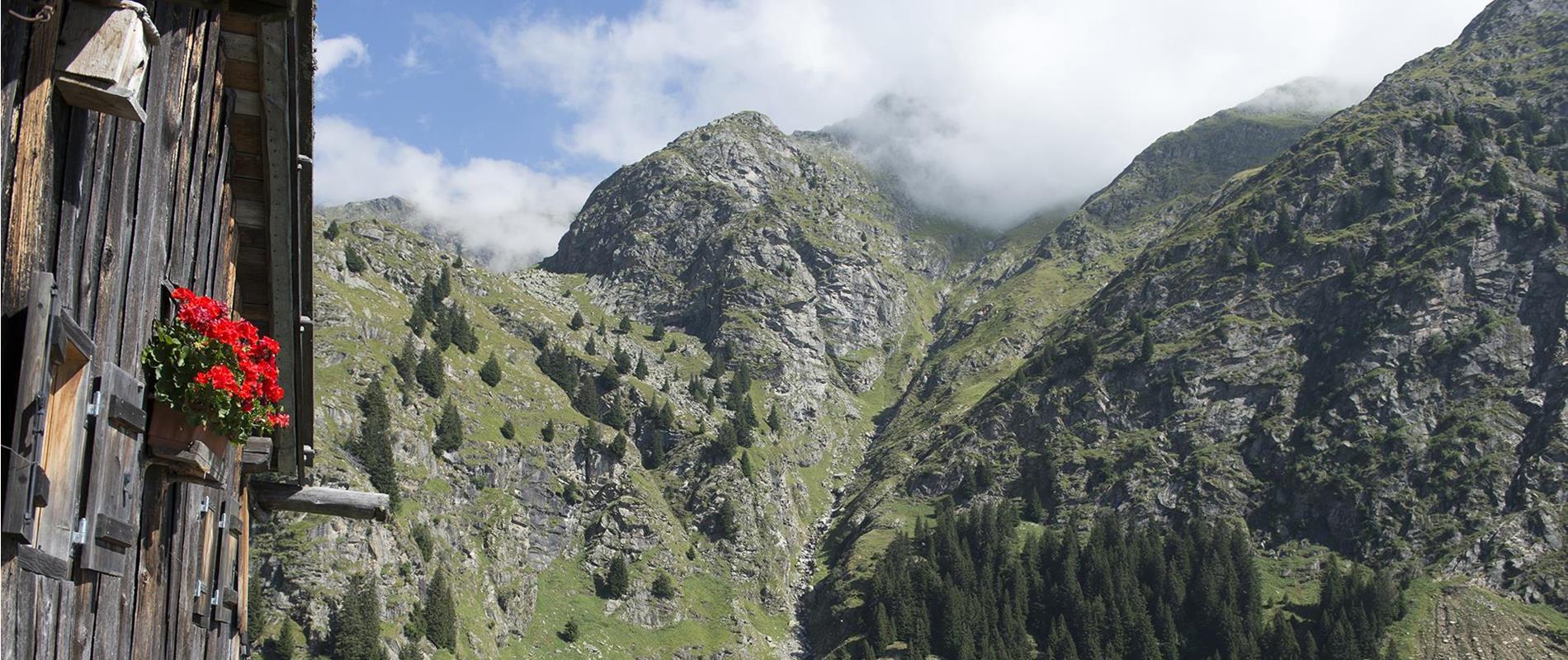 Mountain Huts in Parcines