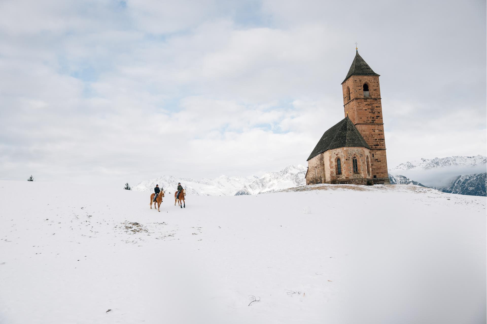 tv-hafling-voeran-meran-2000-benjamin-pfitscher-2024-winter-113