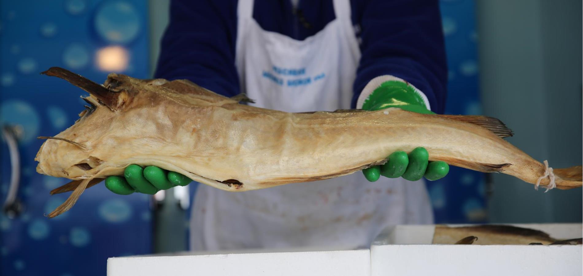 Was der Stockfisch mit einem Schiffbrüchigen zu tun hat