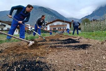 Auf der „Puitwies“ blüht’s!