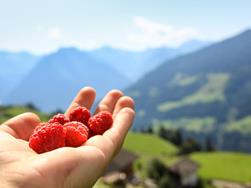 Interessiert dich wie viel Umsatz der Tourismus allen Branchen bringt?