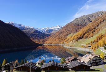 Vernago