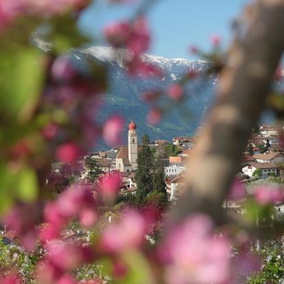 Spring Merano in Partschins