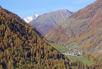 Das stille Dorf Karthaus