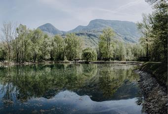 The Falschauer Biotope