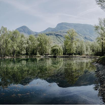 The Falschauer Biotope in Lana