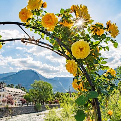 Merano Spring